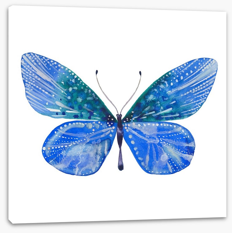 Social butterfly II
