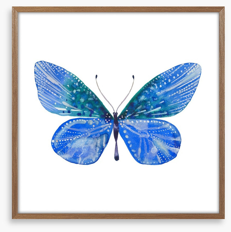 Social butterfly II