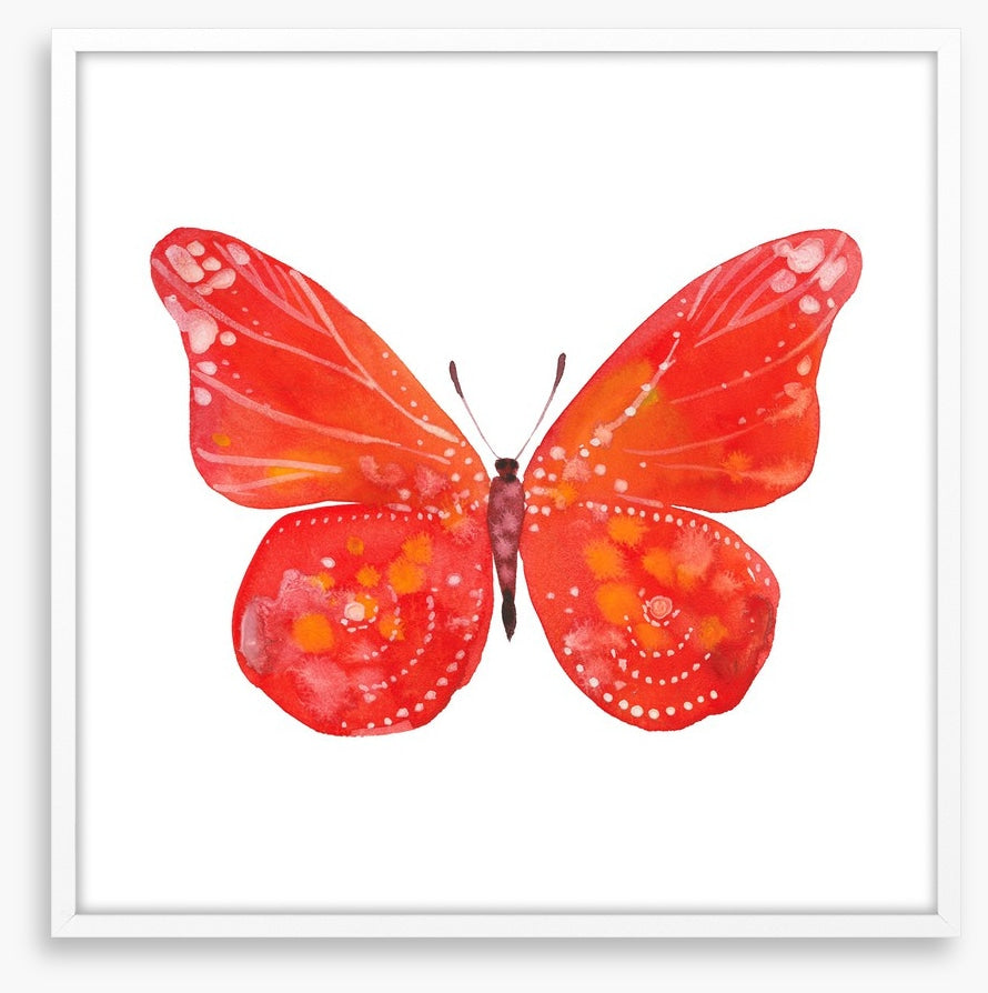 Social butterfly III