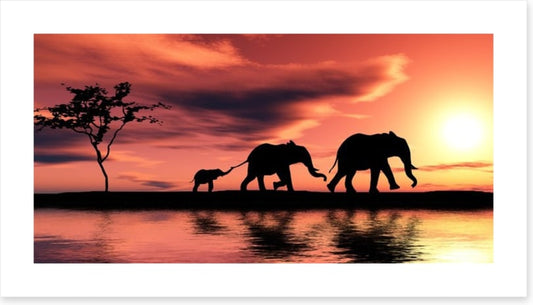 Elephant family silhouette