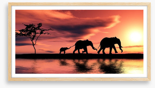 Elephant family silhouette