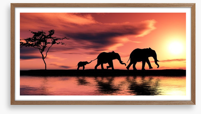 Elephant family silhouette