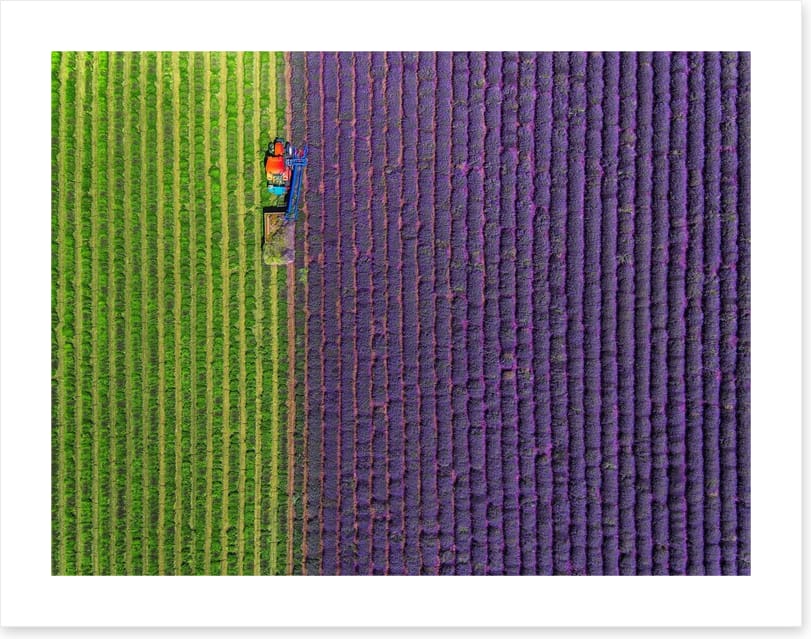 Agriculture