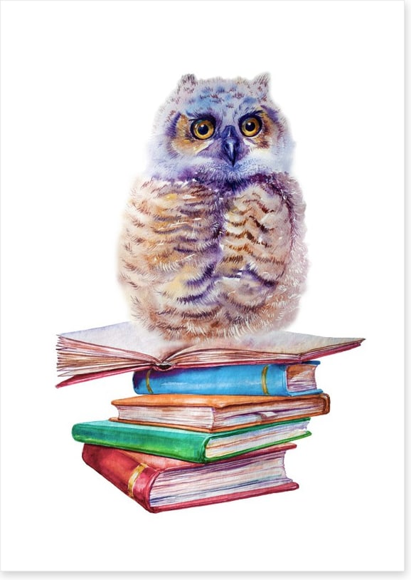Book owl balance