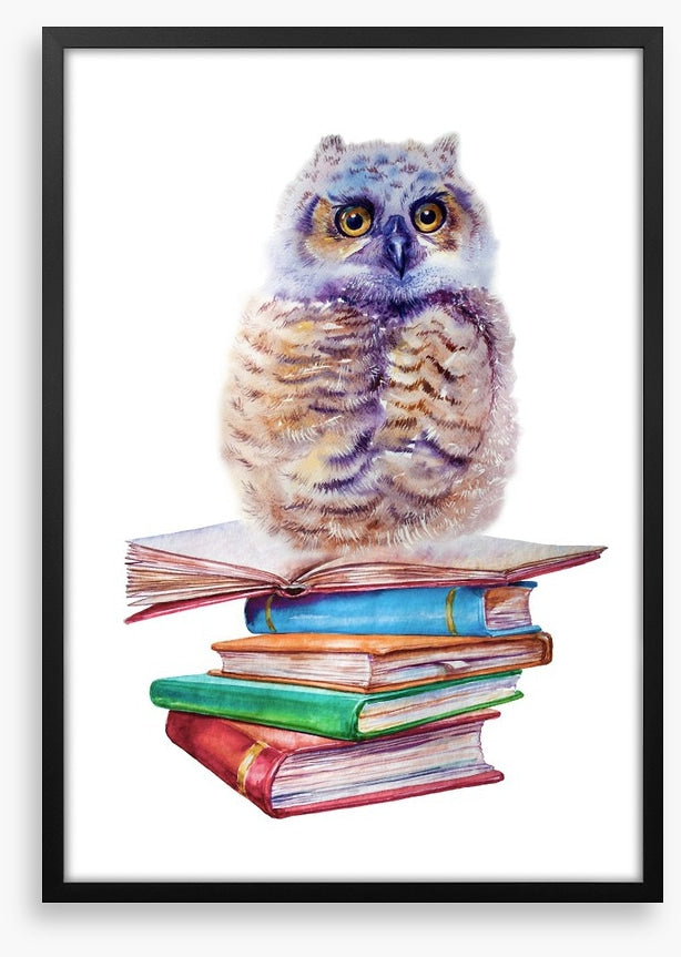 Book owl balance
