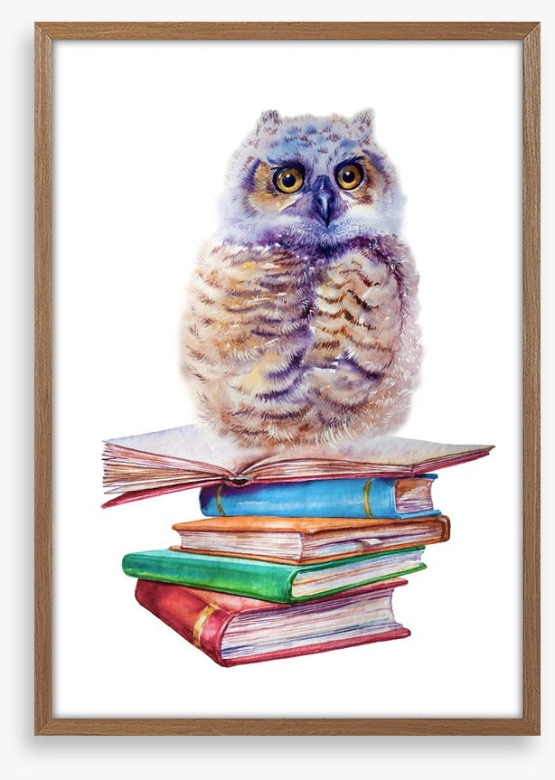 Book owl balance