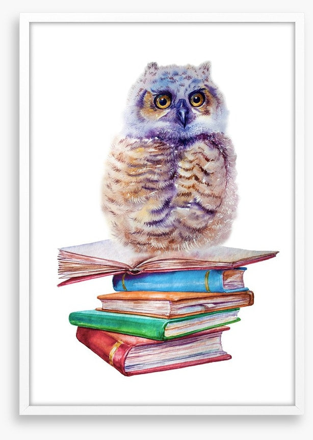 Book owl balance