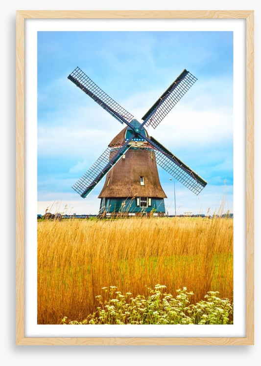 Windmill in the wheat