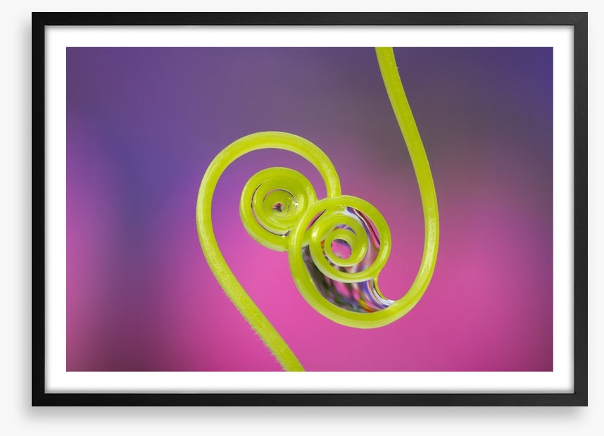 Touching tendrils
