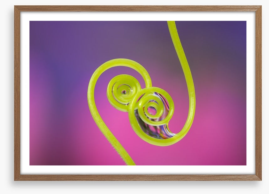 Touching tendrils