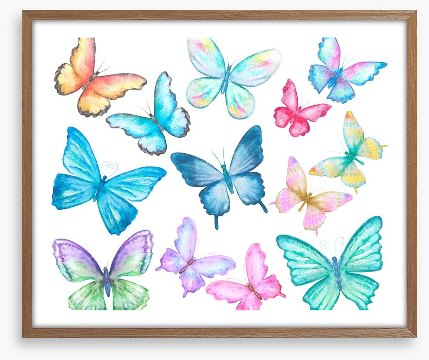 Butterflies