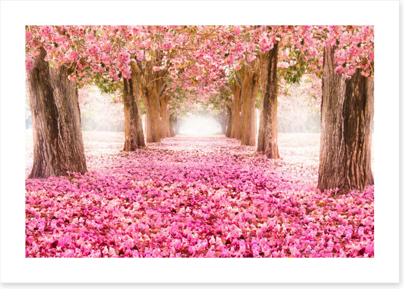 Strolling through spring