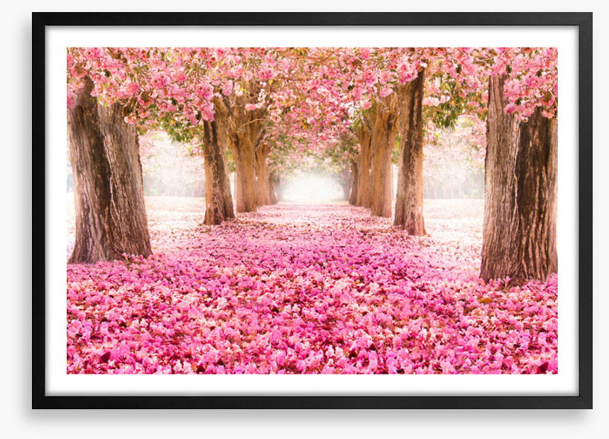 Strolling through spring