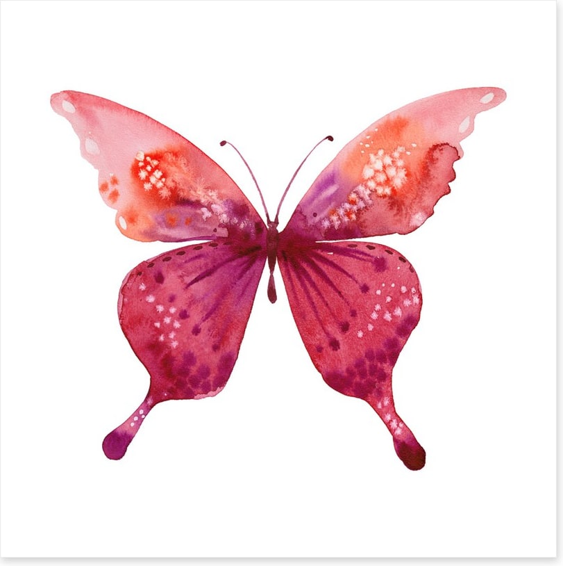 Social butterfly I