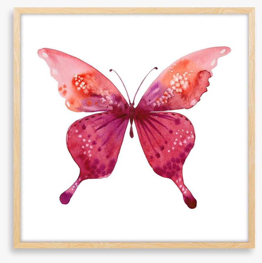 Social butterfly I