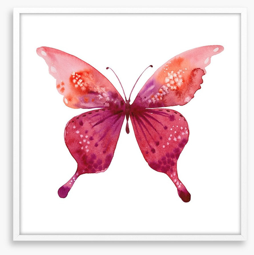 Social butterfly I