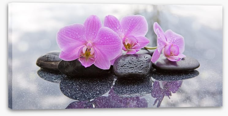 Orchid petal pebbles
