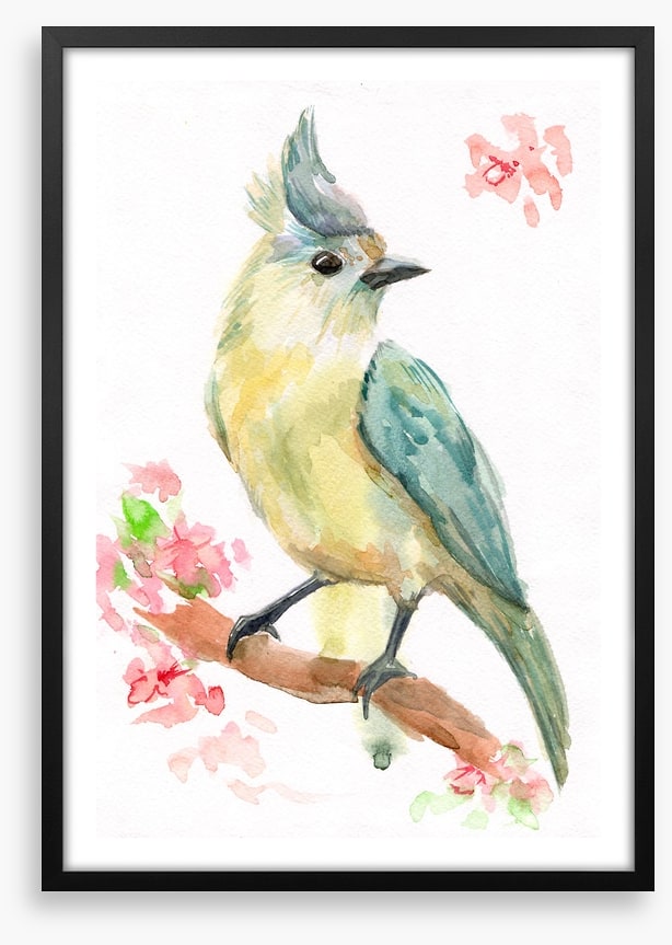 Spring bird branch