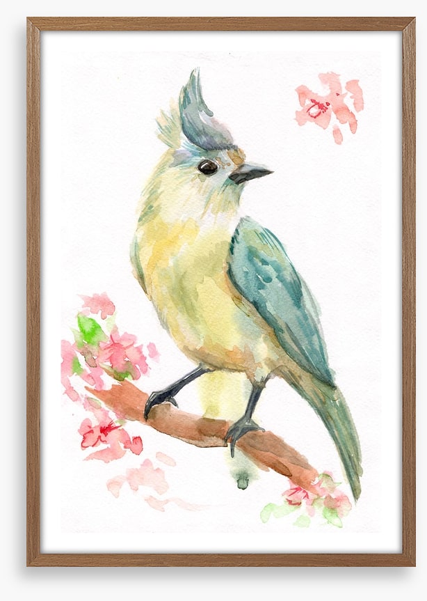 Spring bird branch