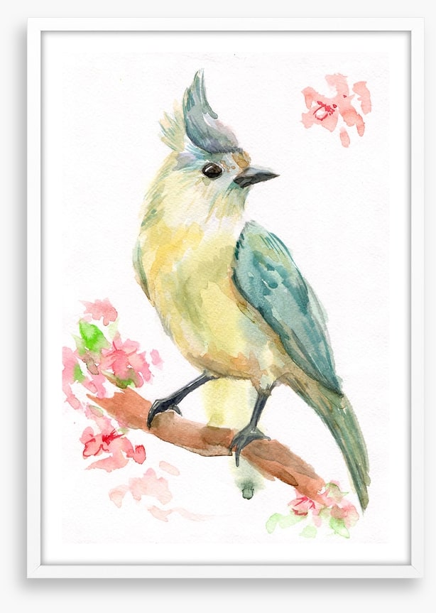 Spring bird branch