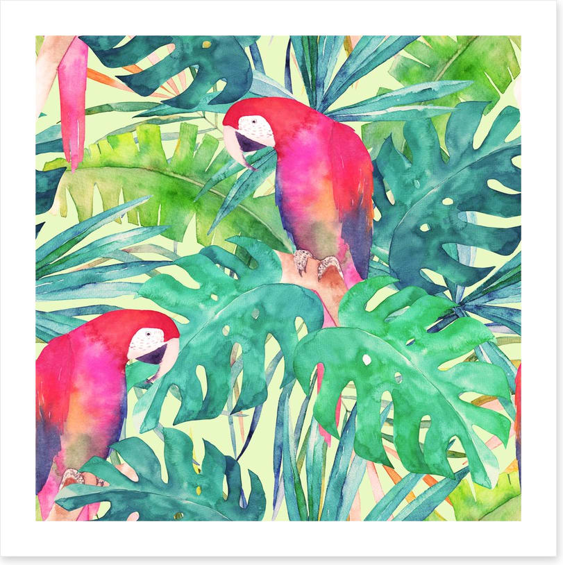 Parrot and palms