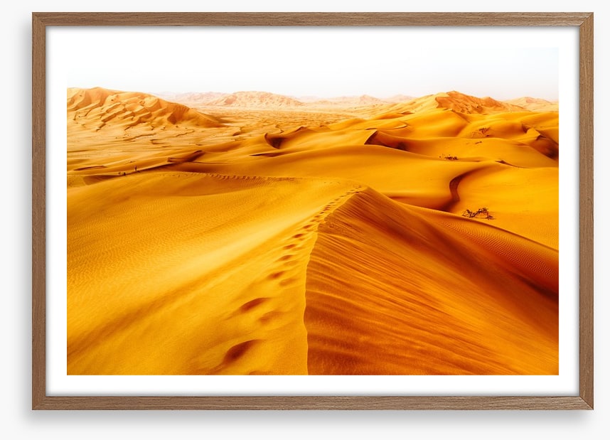 Desert