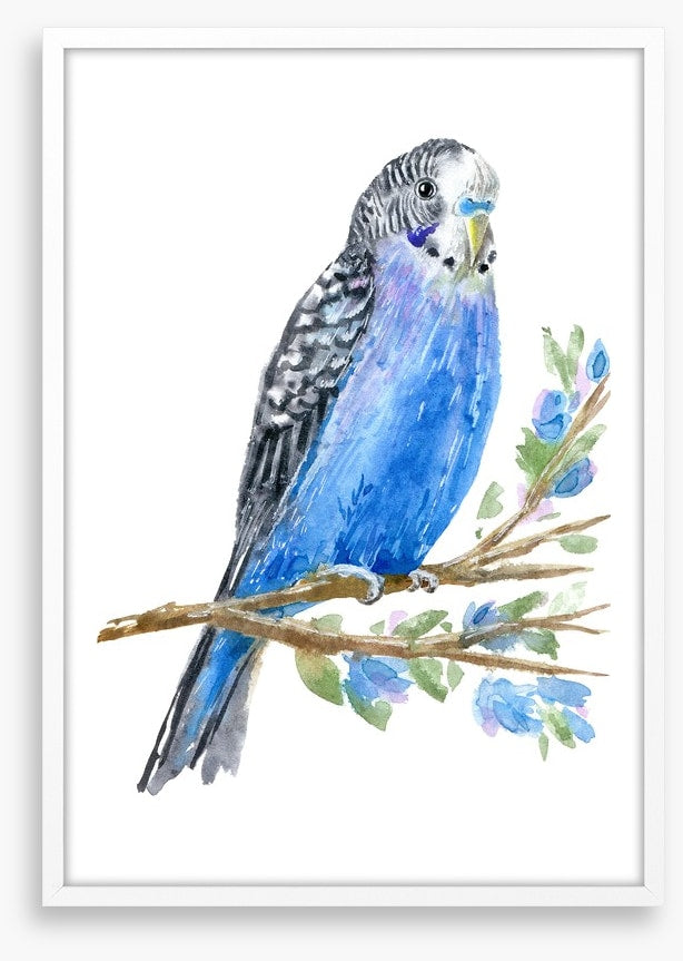 Blue budgie branch