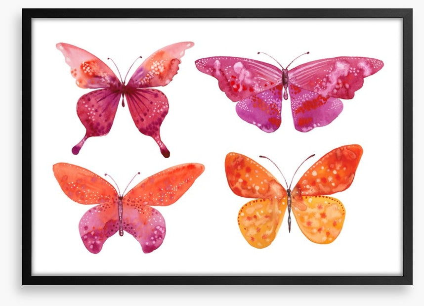 Butterflies