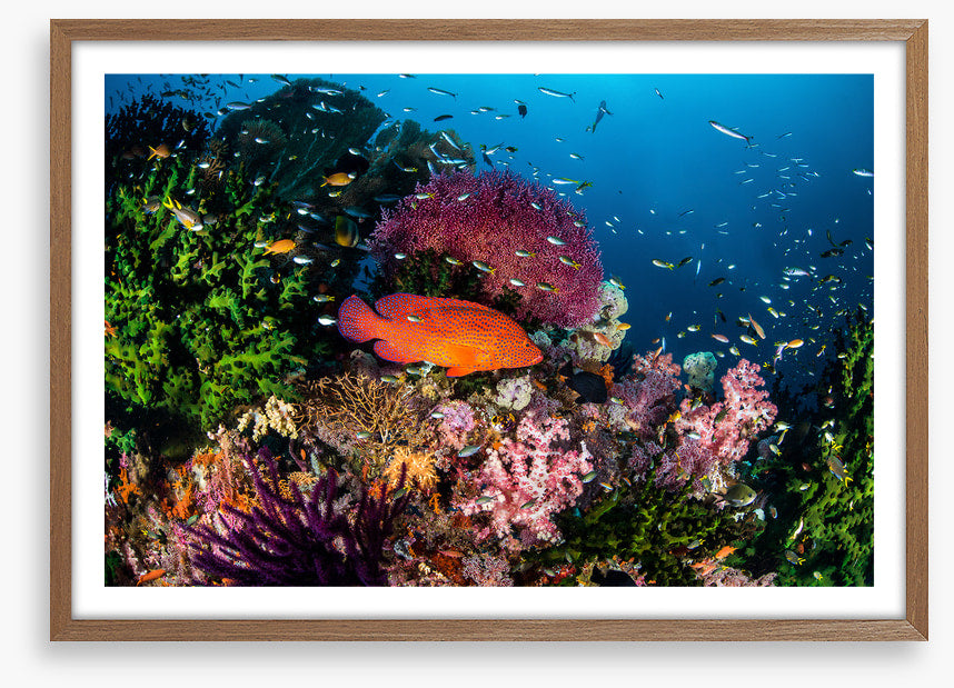 Underwater