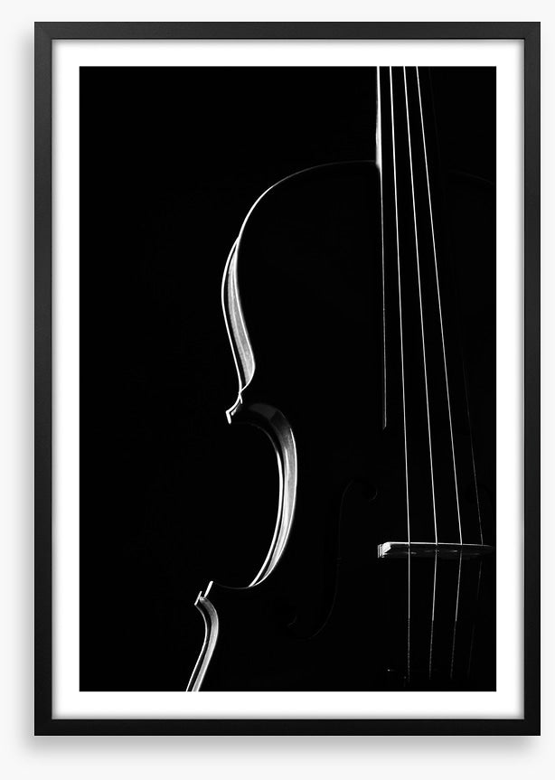 Symphony silhouette