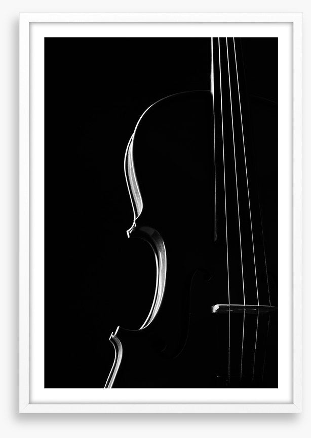 Symphony silhouette