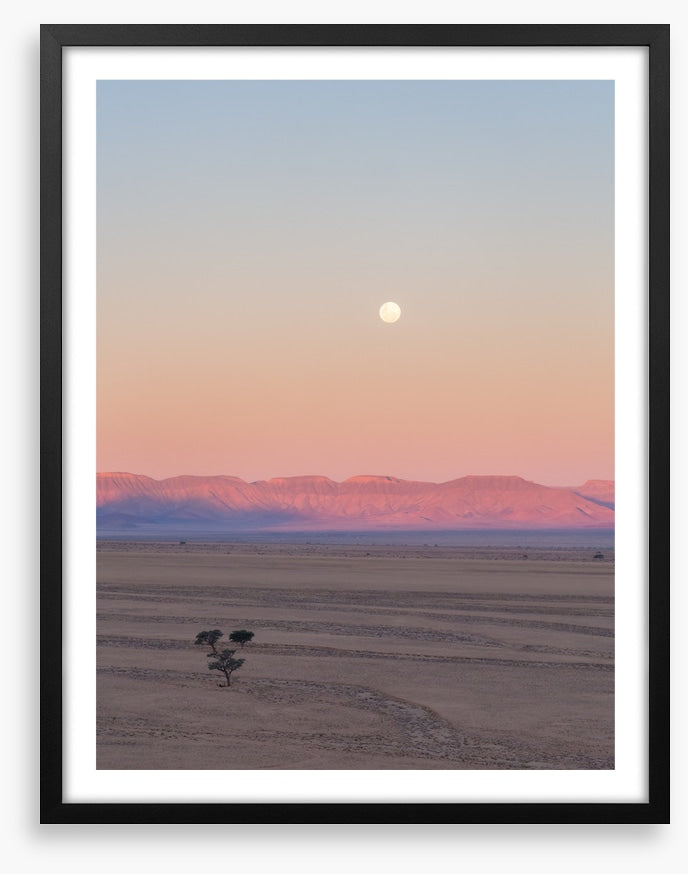 Desert moonrise