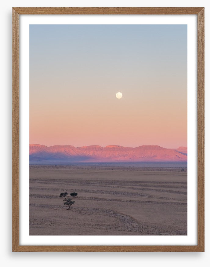 Desert moonrise