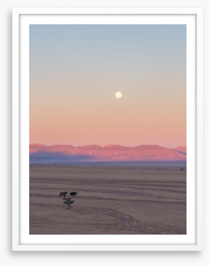 Desert moonrise