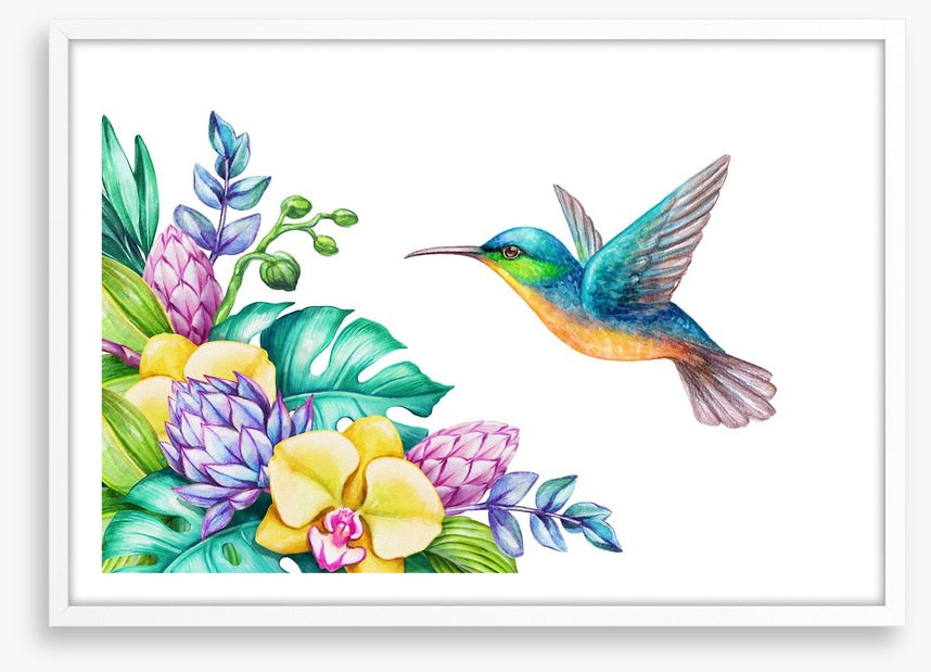 Yellow orchid hummingbird
