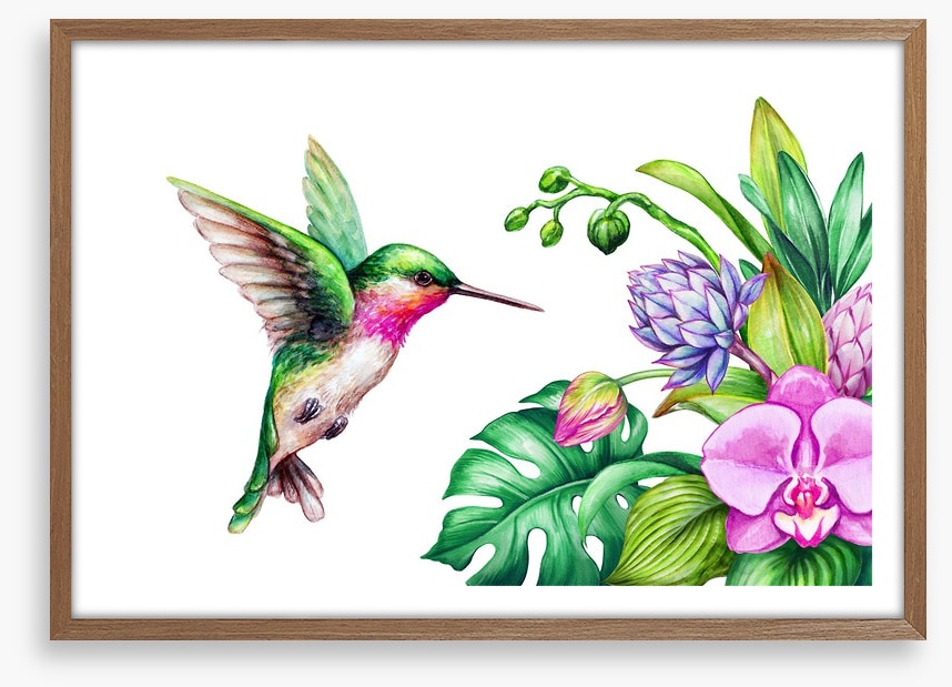 Pink orchid hummingbird