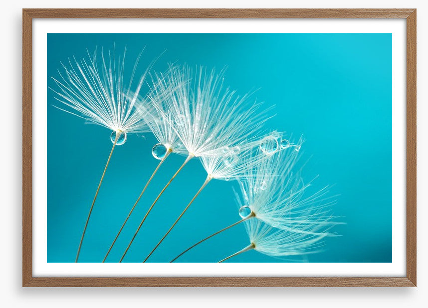 Turquoise droplets