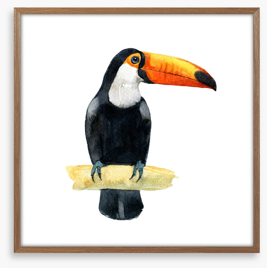 One toucan