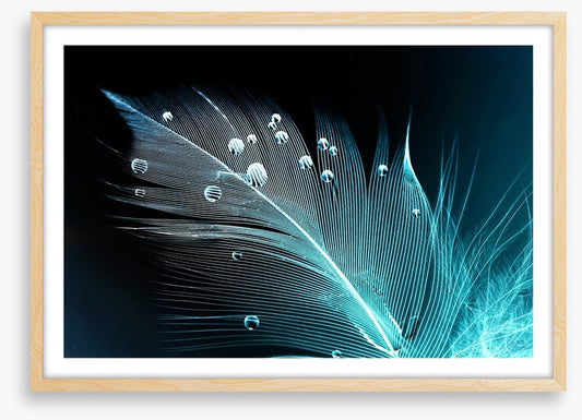 Blue feather droplets