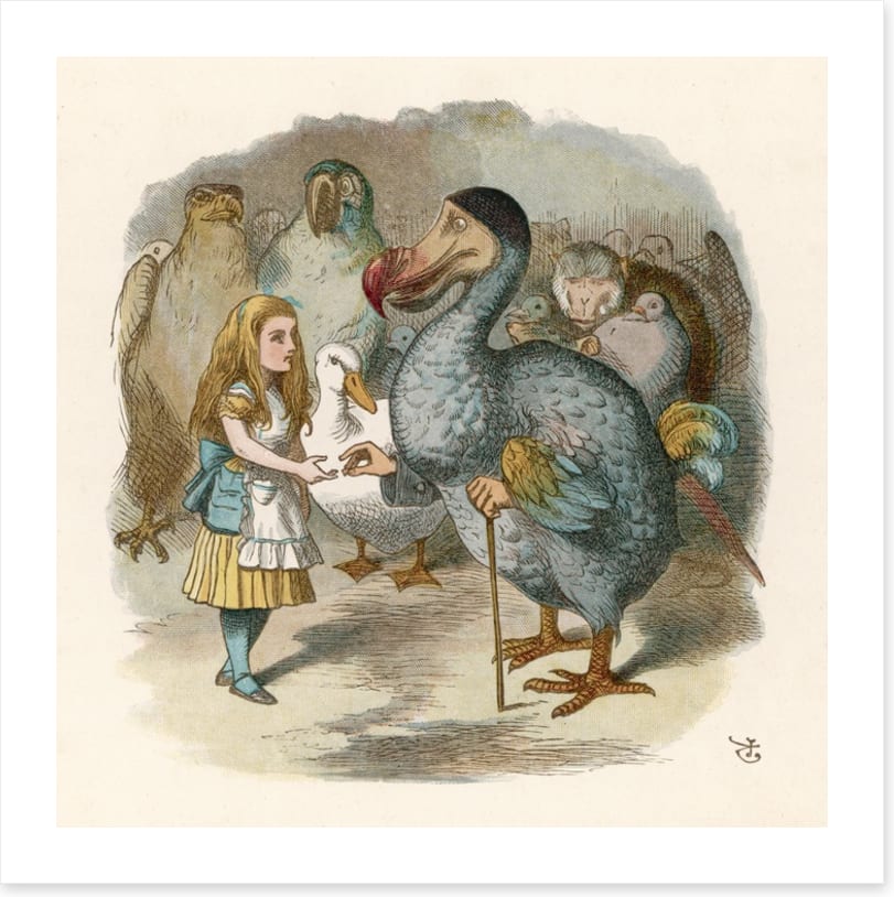 Alice meets the dodo