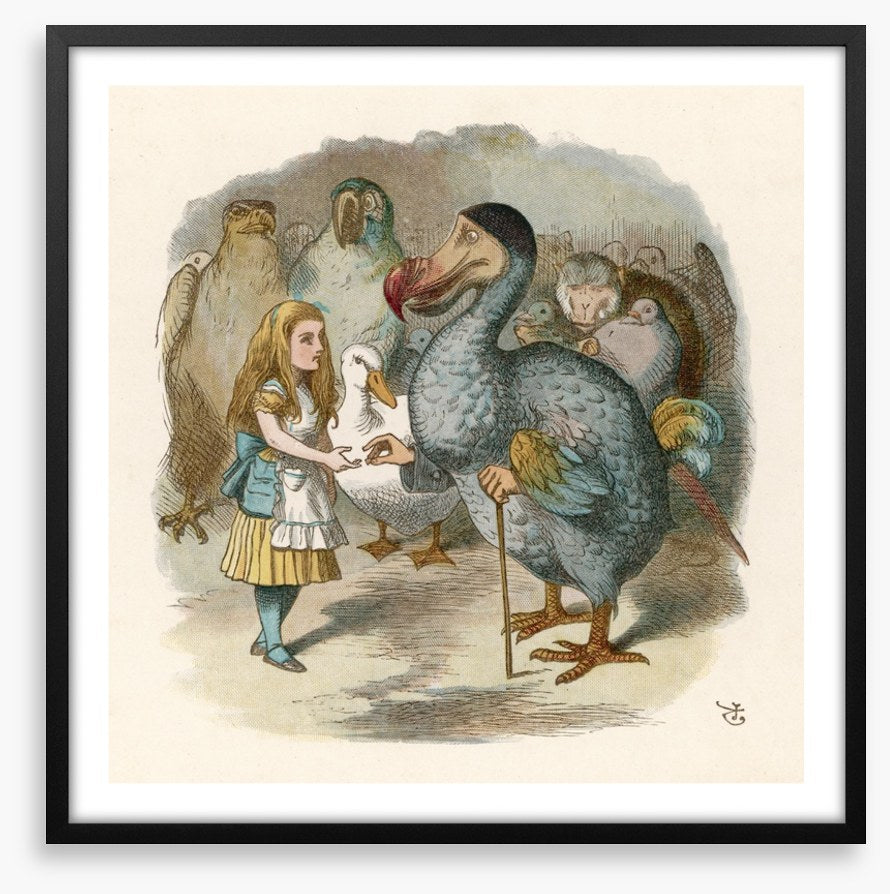 Alice meets the dodo