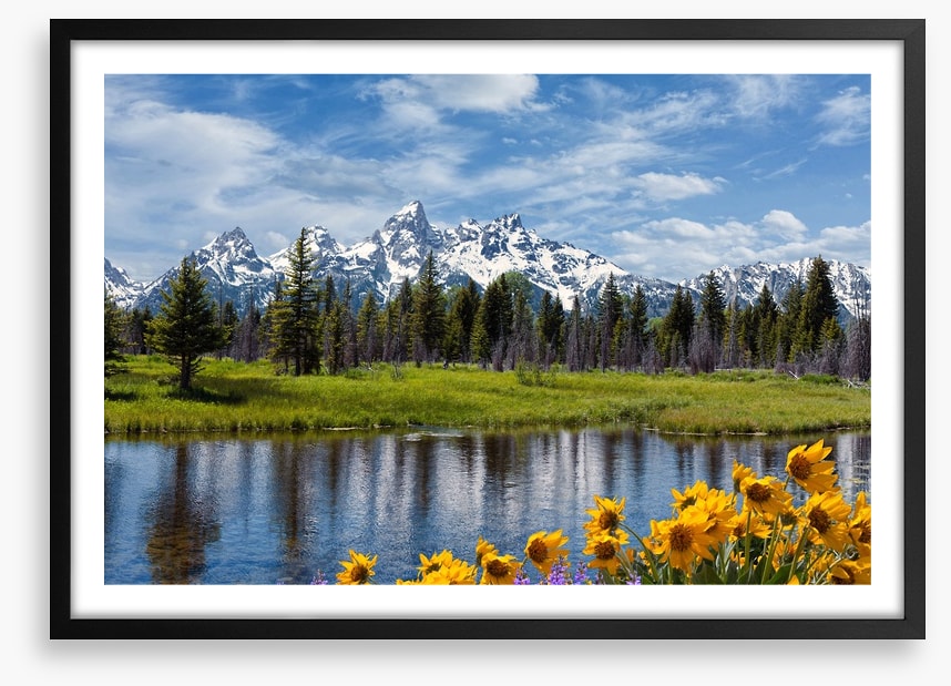 Grand Teton wilderness