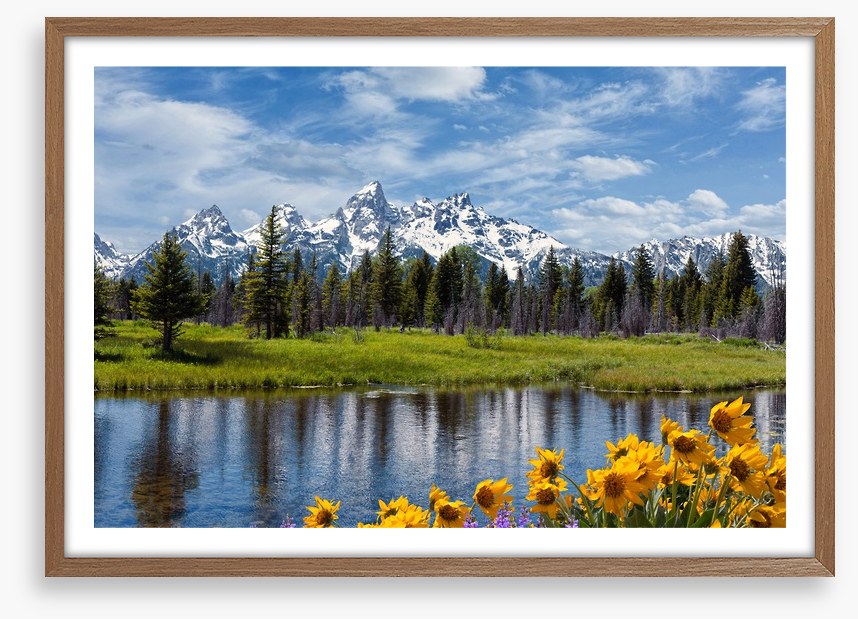 Grand Teton wilderness