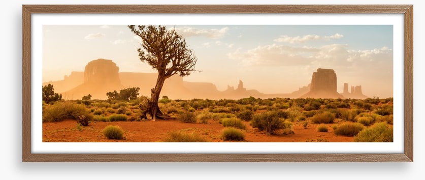 The wild Southwest