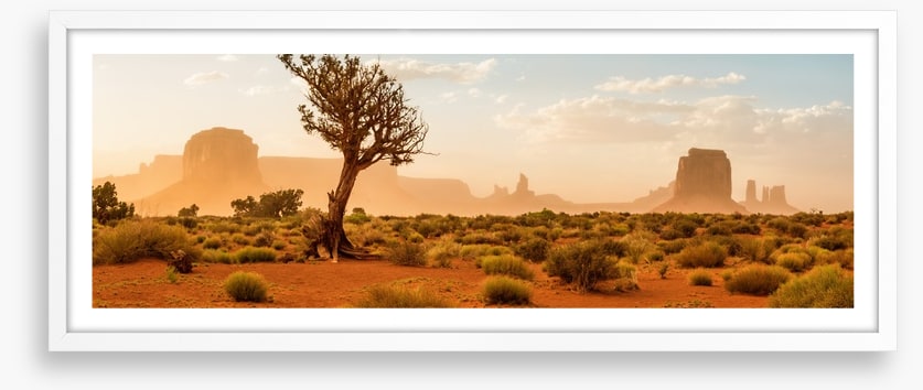 The wild Southwest