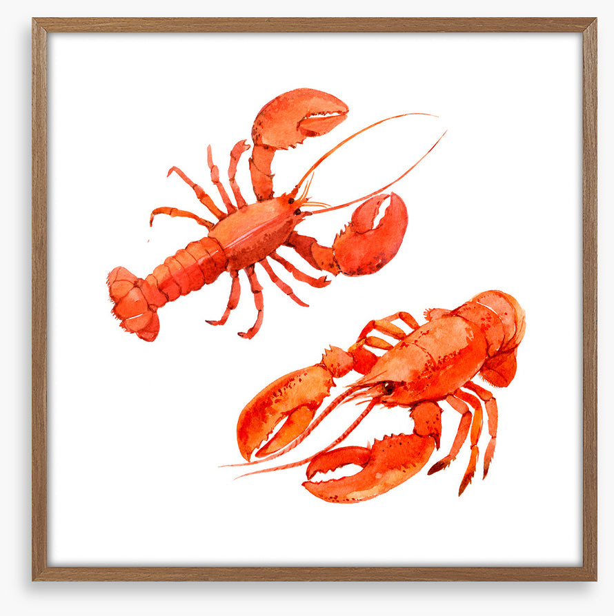 Pink lobsters