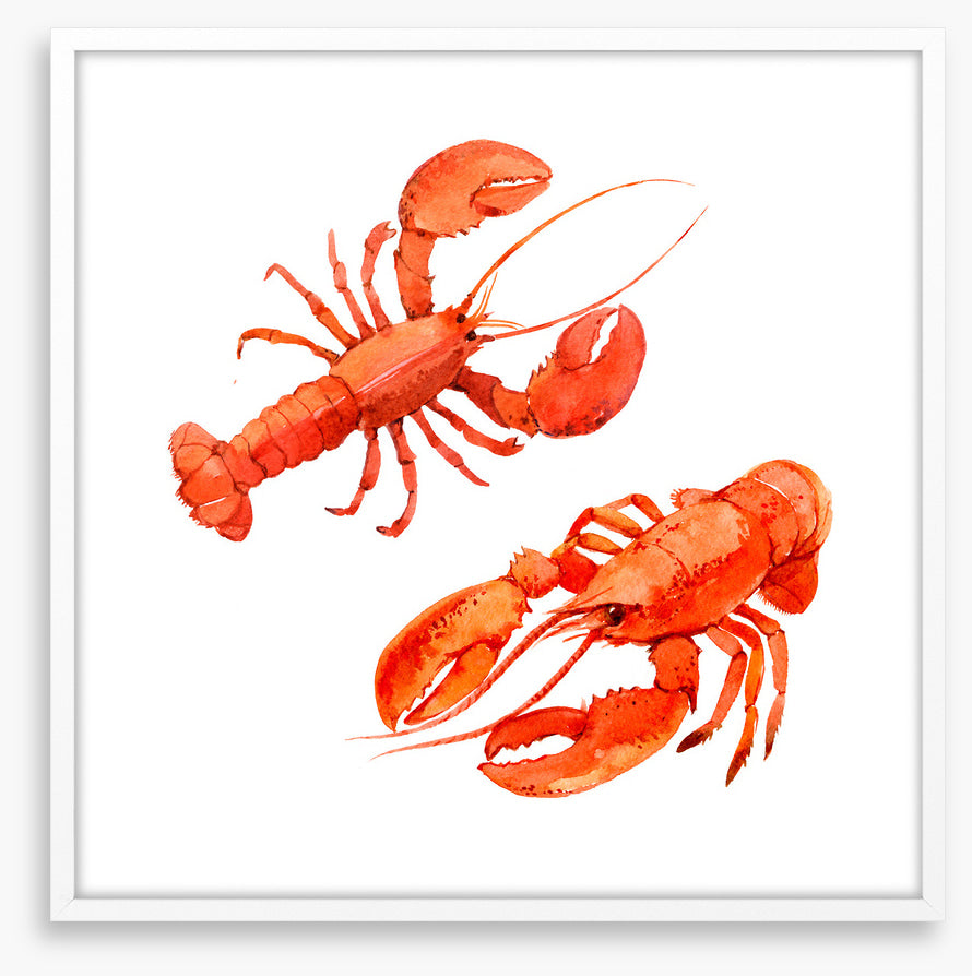 Pink lobsters