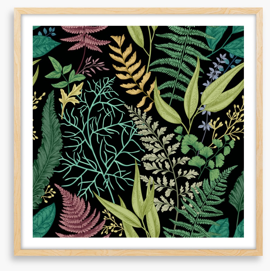 Ferny friends 3