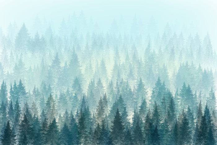 In the misty pines