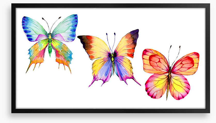 Butterflies
